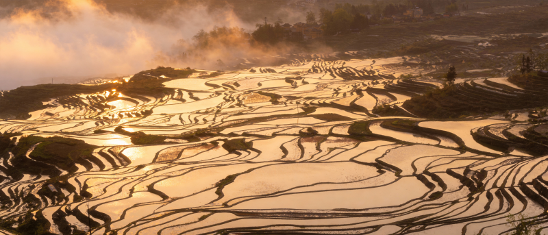 梯田晨曦图片