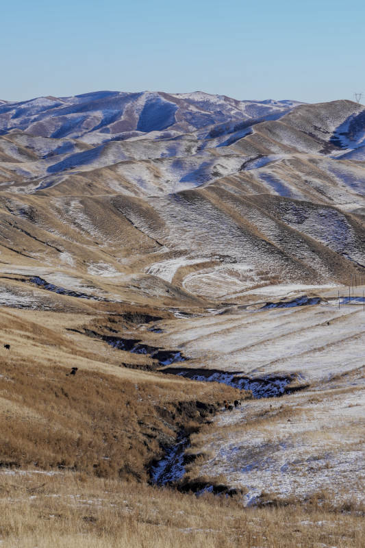 内蒙古阴山雪覆山丘图片