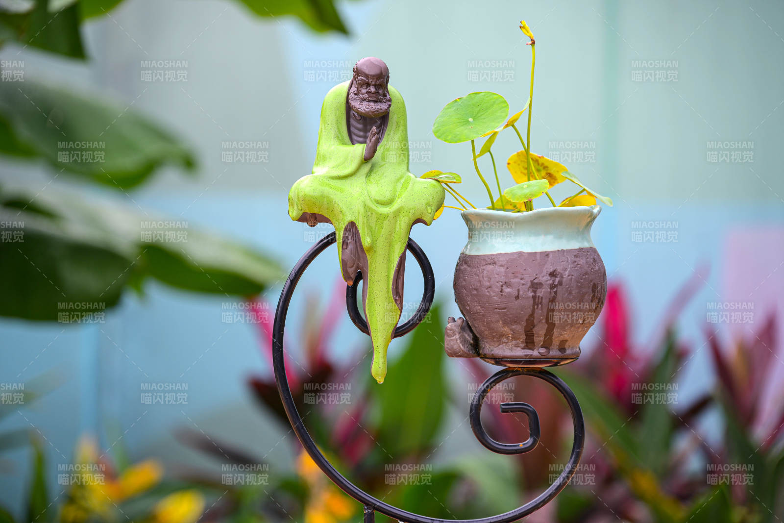 精品碗莲盆栽微景观与禅意摆件绿植组合特写图片