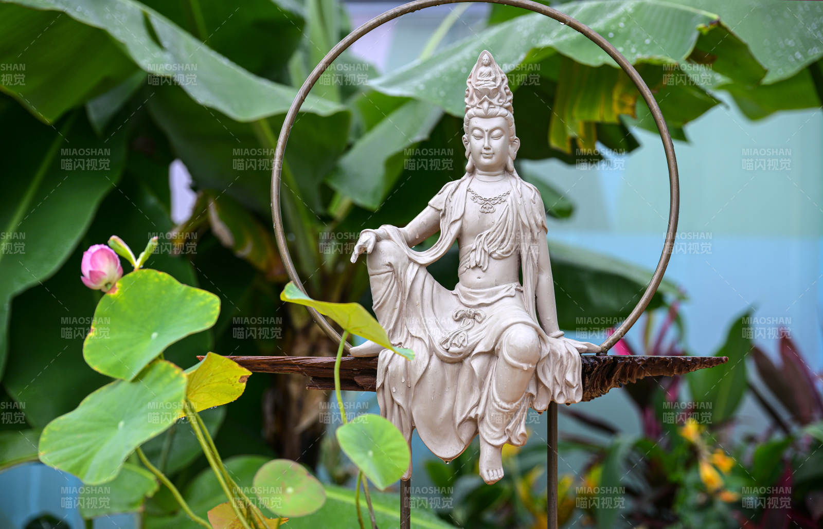 精品碗莲盆栽微景观与观音佛像摆件特写图片