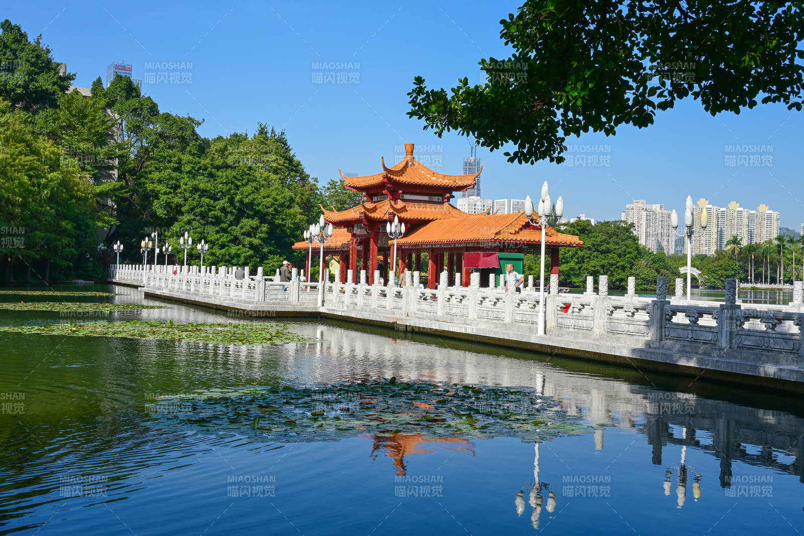 深圳荔枝公园湖畔中式凉亭水榭倒影景观图片