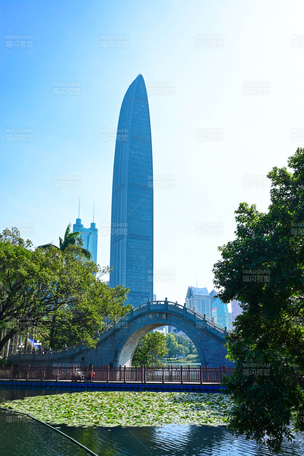 深圳京基100与荔枝公园拱桥景观图片