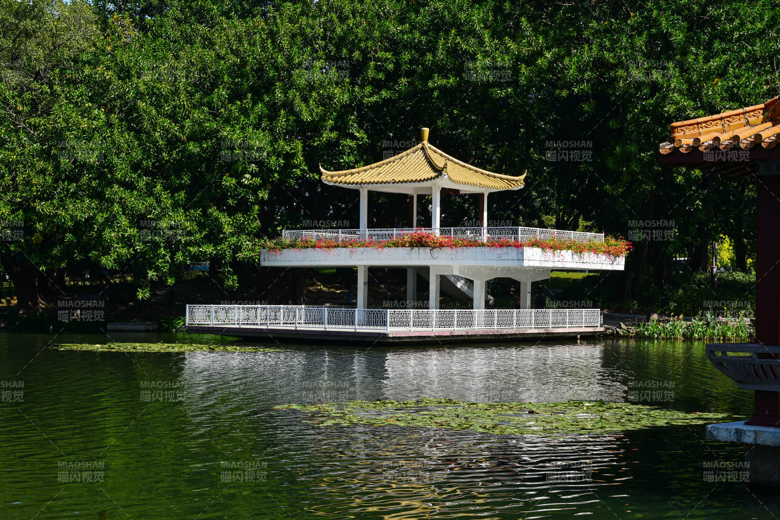 深圳荔枝公园湖心亭秋景水榭风光图片