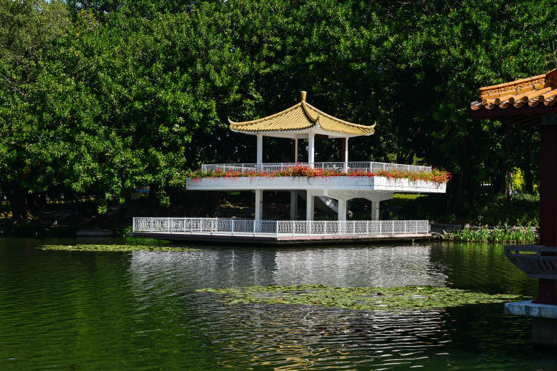 深圳荔枝公园湖心亭秋景水榭风光图片