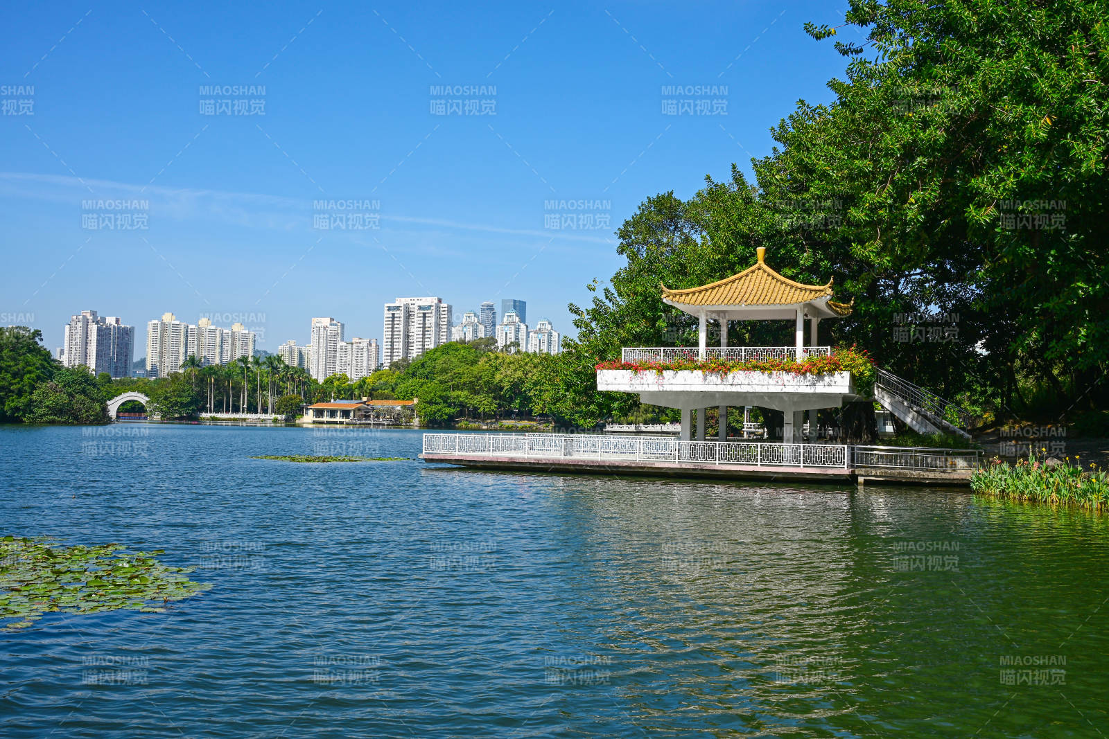深圳荔枝公园湖边长廊凉亭景观图片