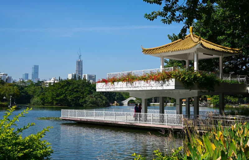深圳荔枝公园湖边长廊凉亭景观图片
