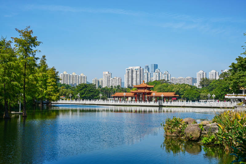 深圳荔枝公园湖畔古亭与现代城市天际线景观图片