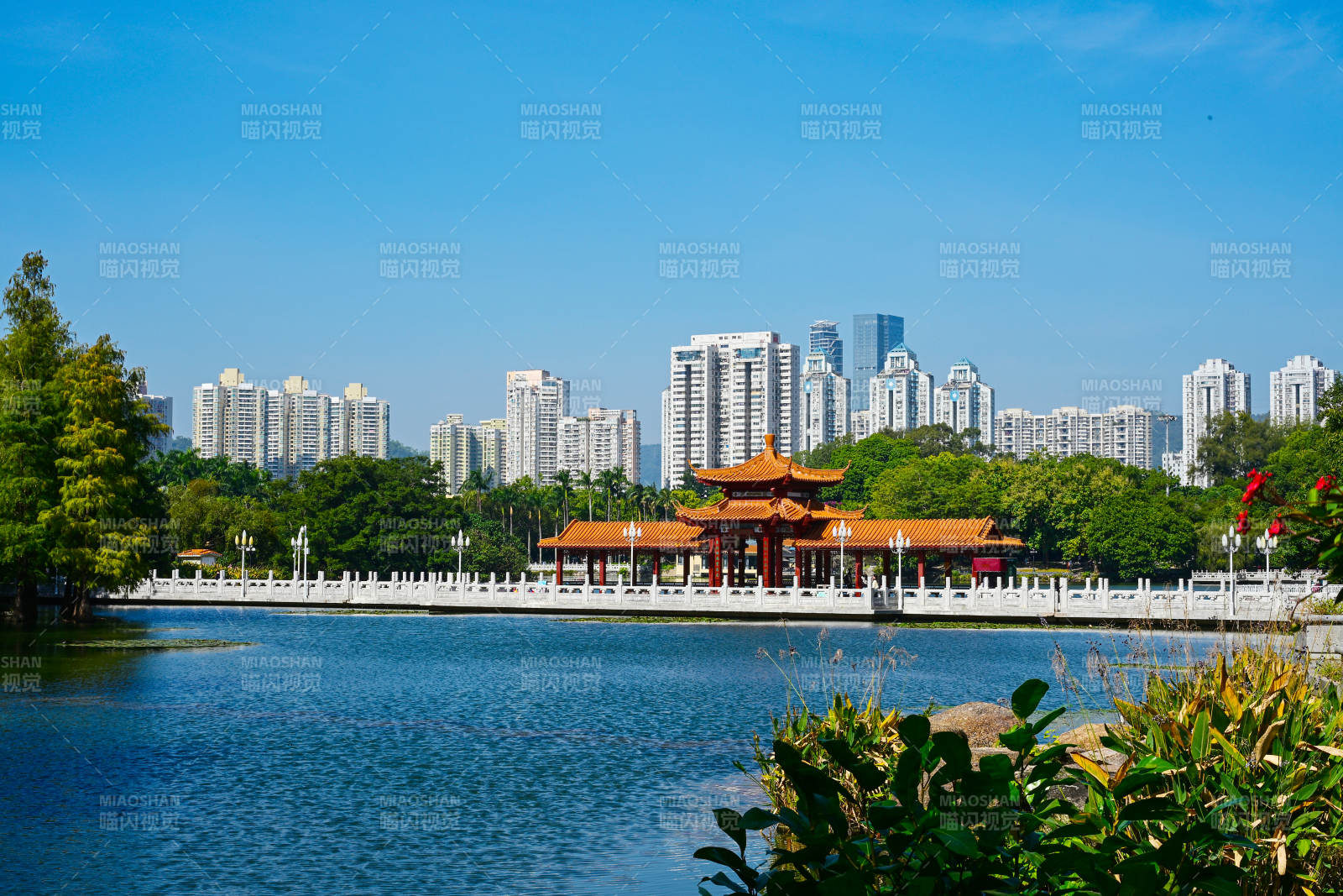 深圳荔枝公园湖畔中式凉亭水榭倒影景观图片