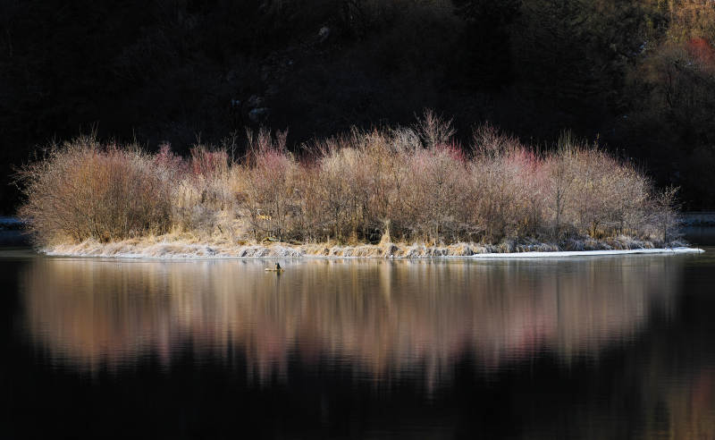 湖畔秋色倒影图片