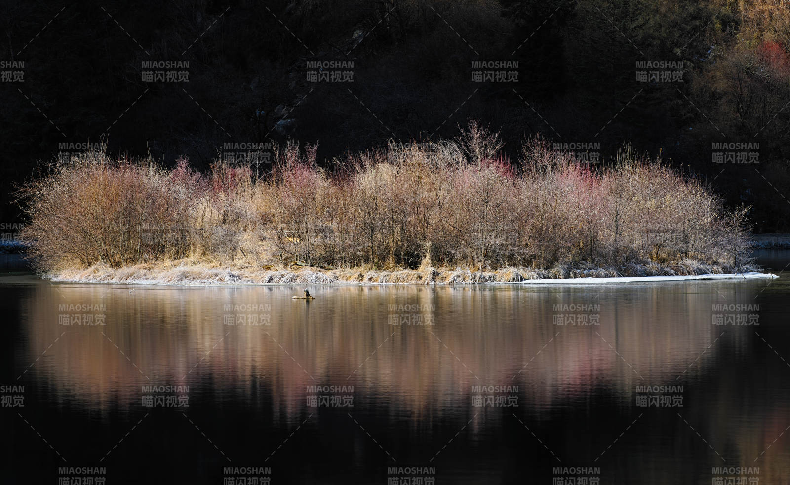 湖畔秋色倒影图片