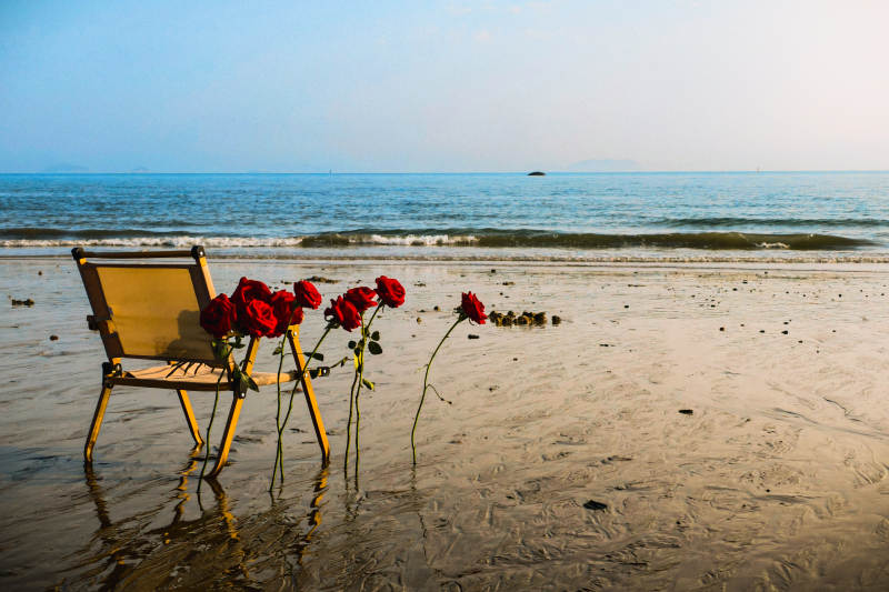 厦门海边玫瑰椅图片