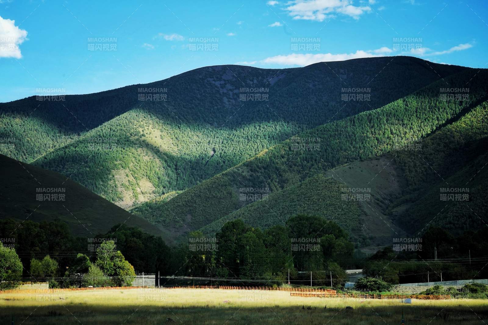 新都桥青山绿水映蓝天图片