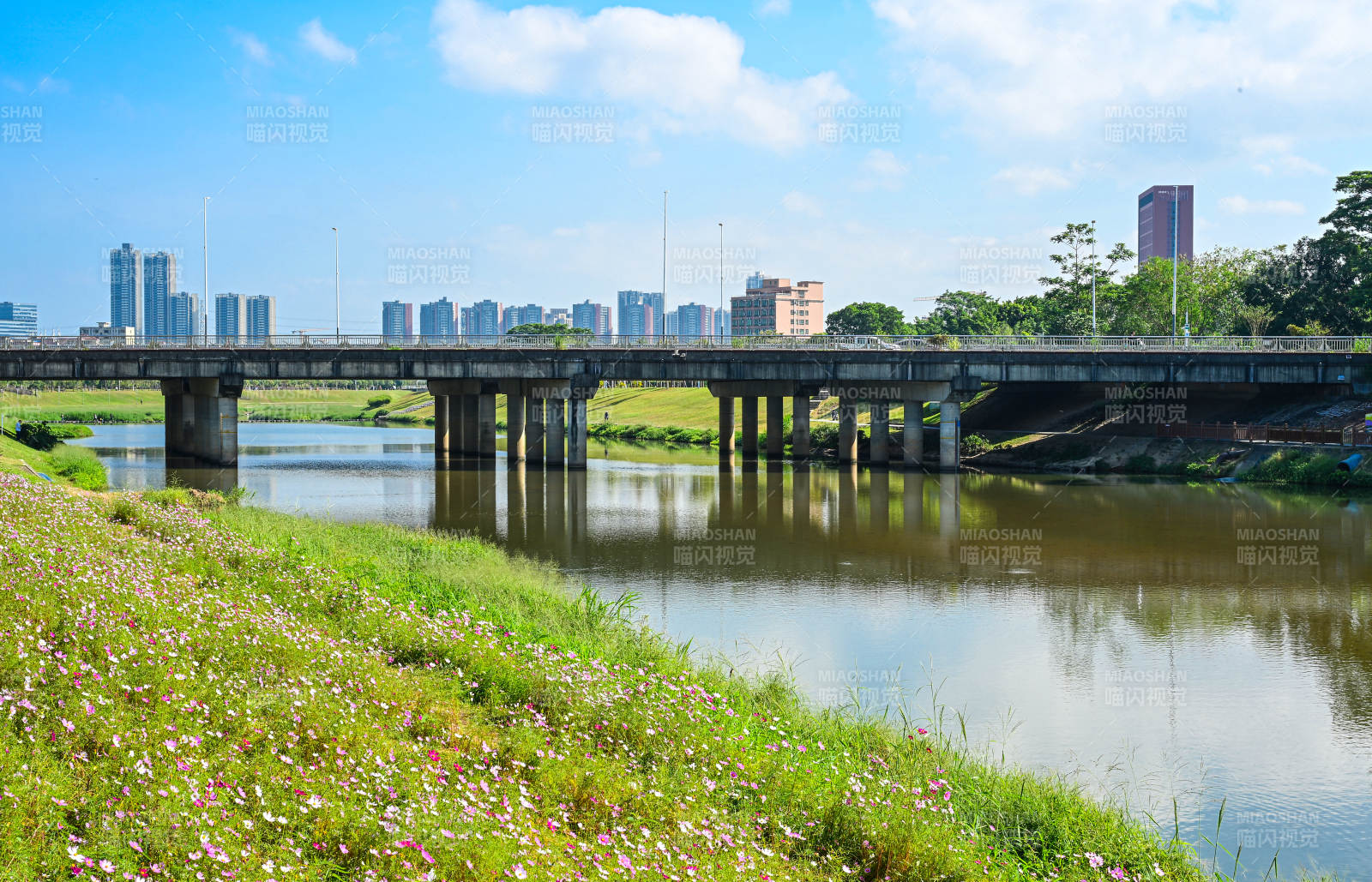 深圳坪山河公园蓝天白云下的河畔景观图片