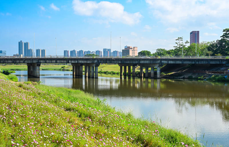 深圳坪山河公园蓝天白云下的河畔景观图片