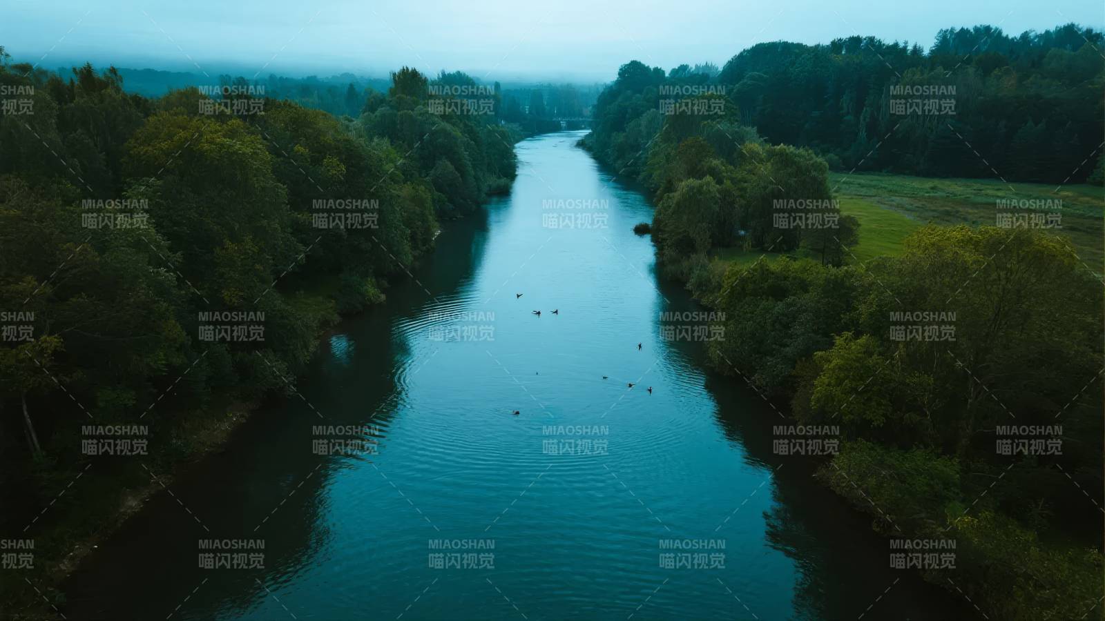 晨雾河畔静谧景图片