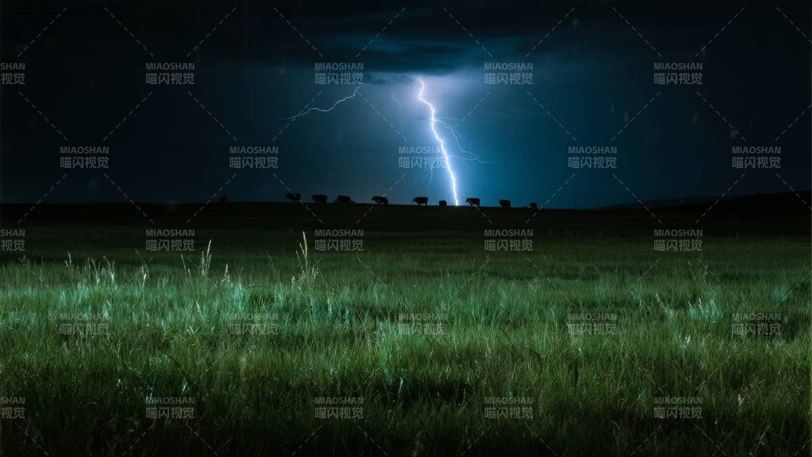 雷电划破夜空图片