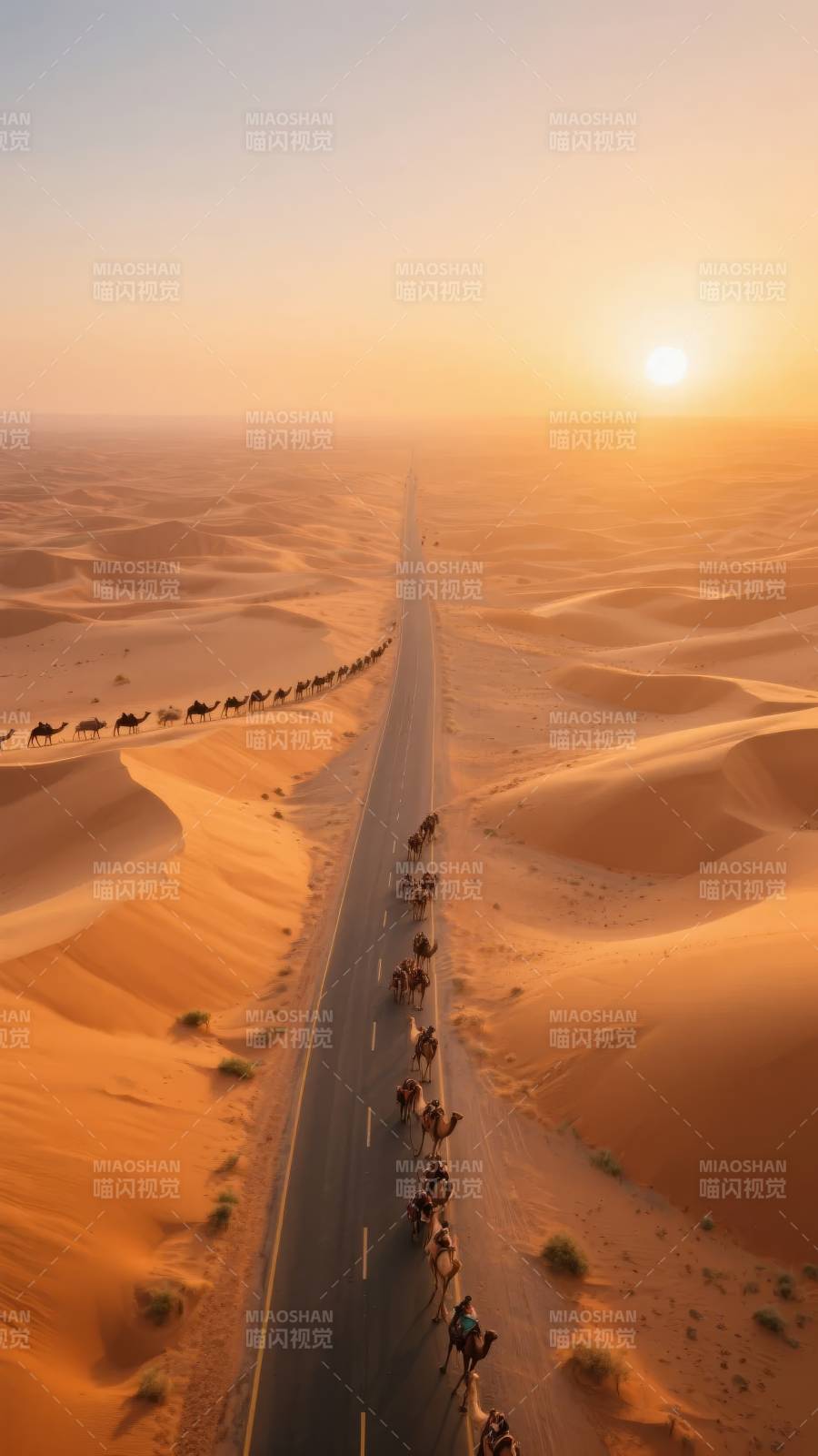 沙漠公路驼队日落图片