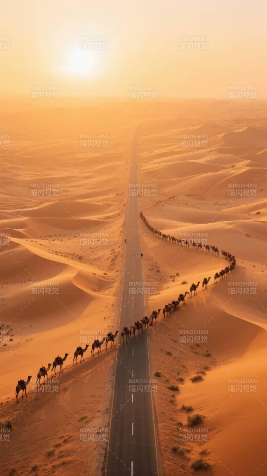 沙漠驼队行路图片