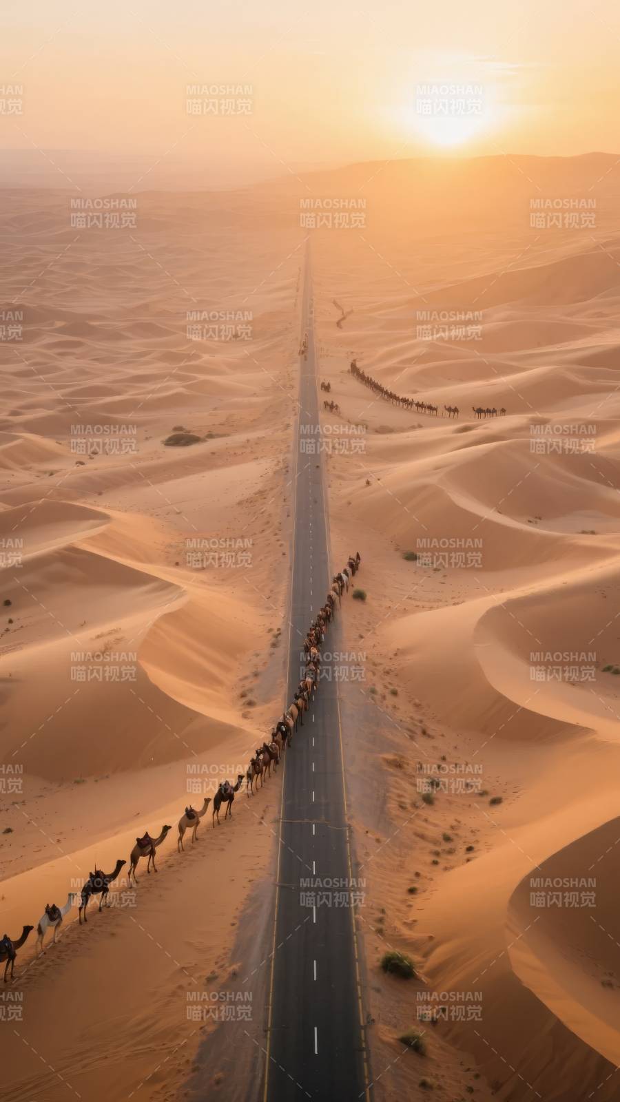 沙漠公路驼队行图片