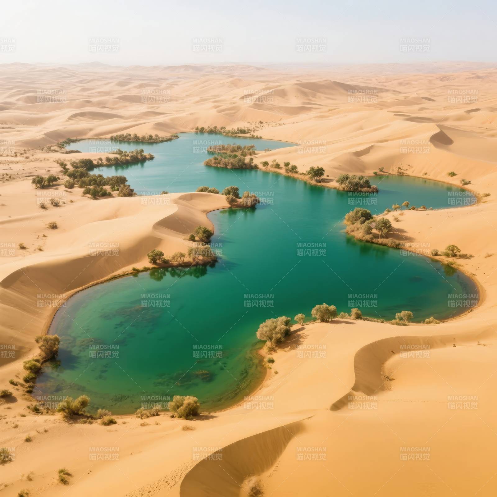 沙漠绿洲奇景图片