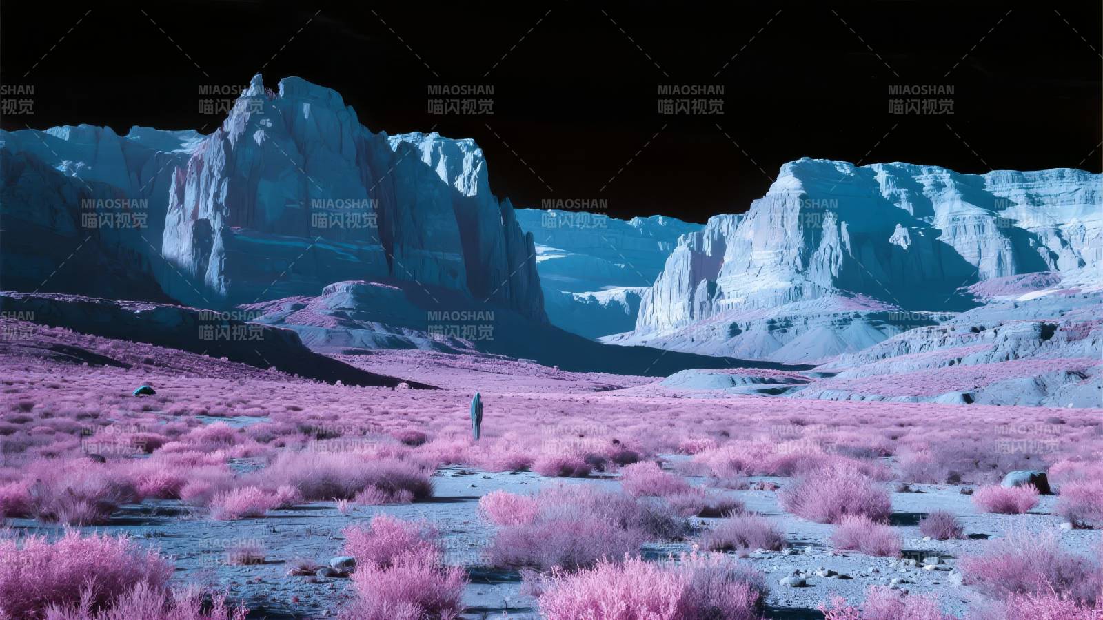 粉红荒原奇景图片