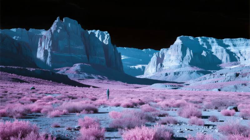 粉红荒原奇景图片