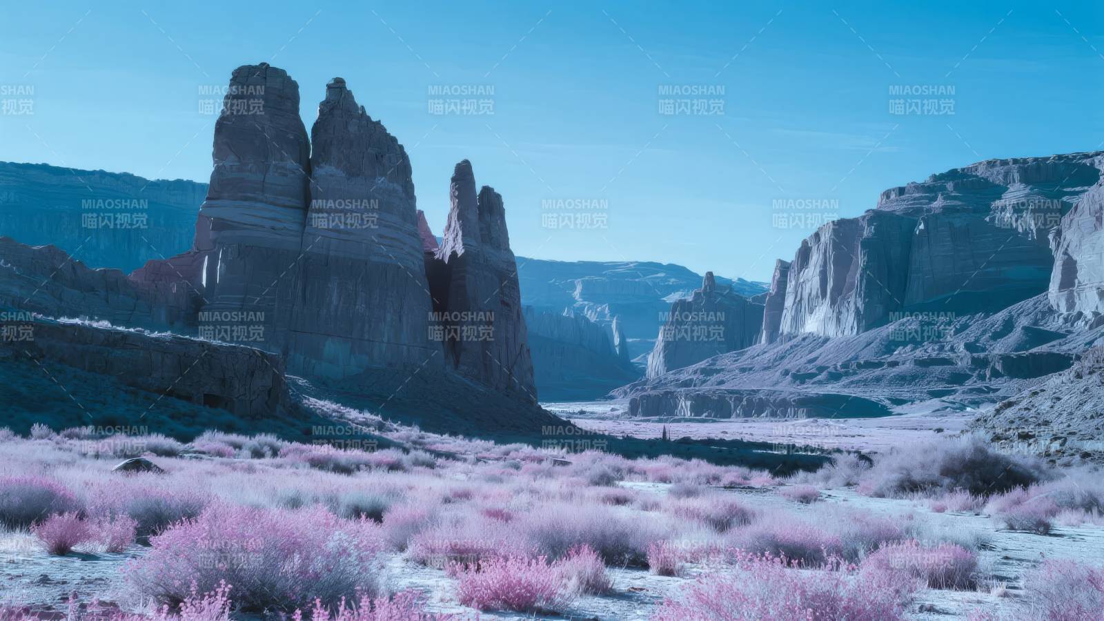 粉花峡谷奇景图片