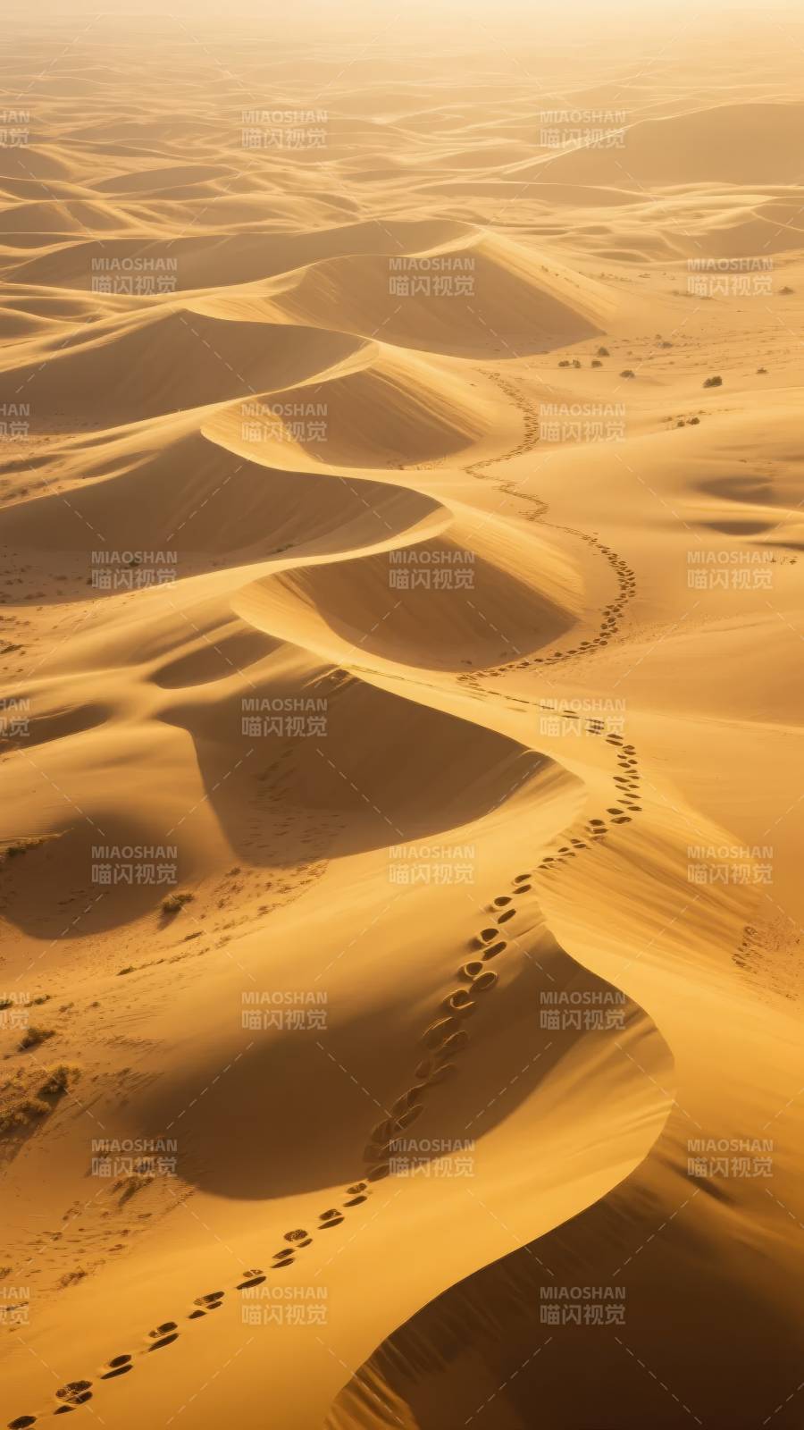 沙漠足迹图片