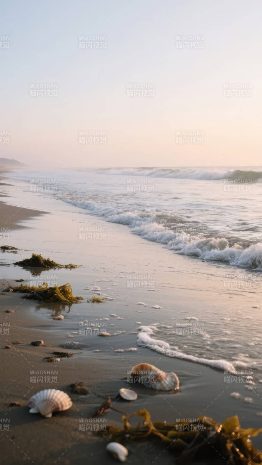 海滩晨曦静谧图片