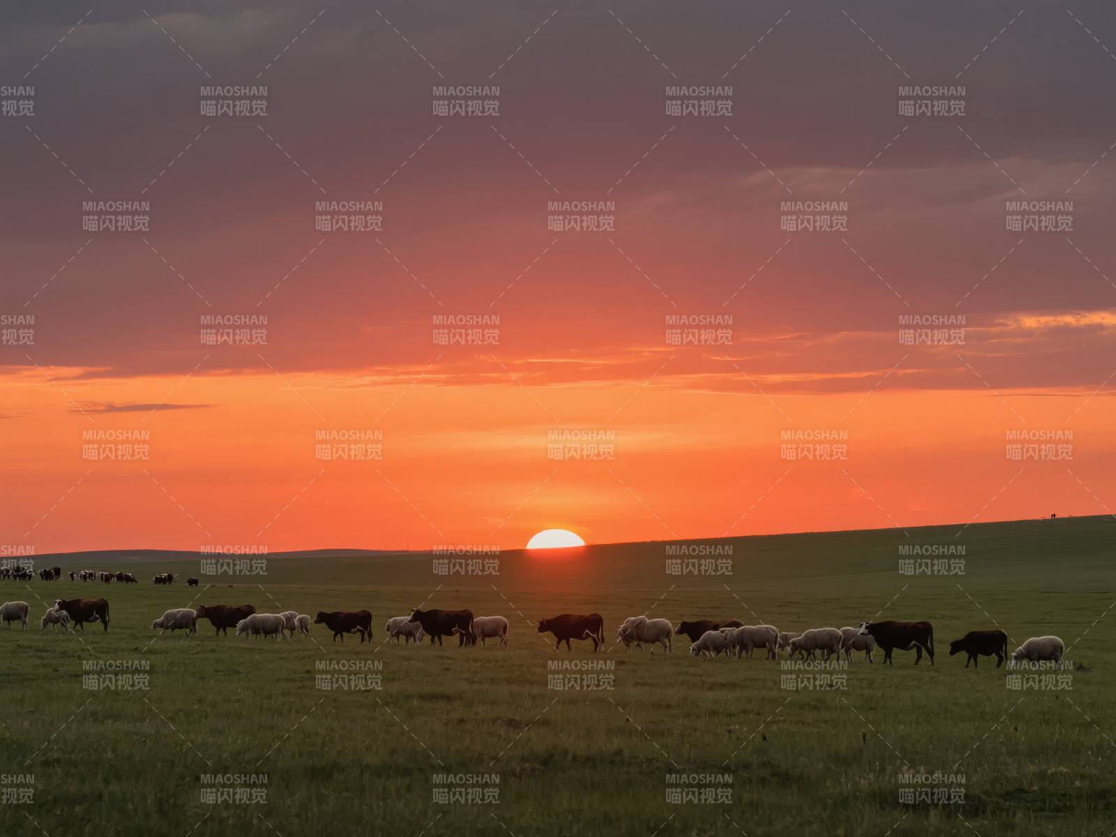 草原日落牧羊图图片