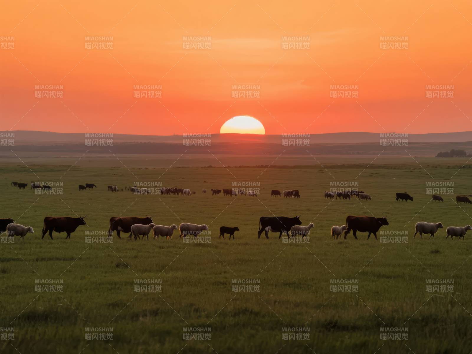 草原日落牧归图图片
