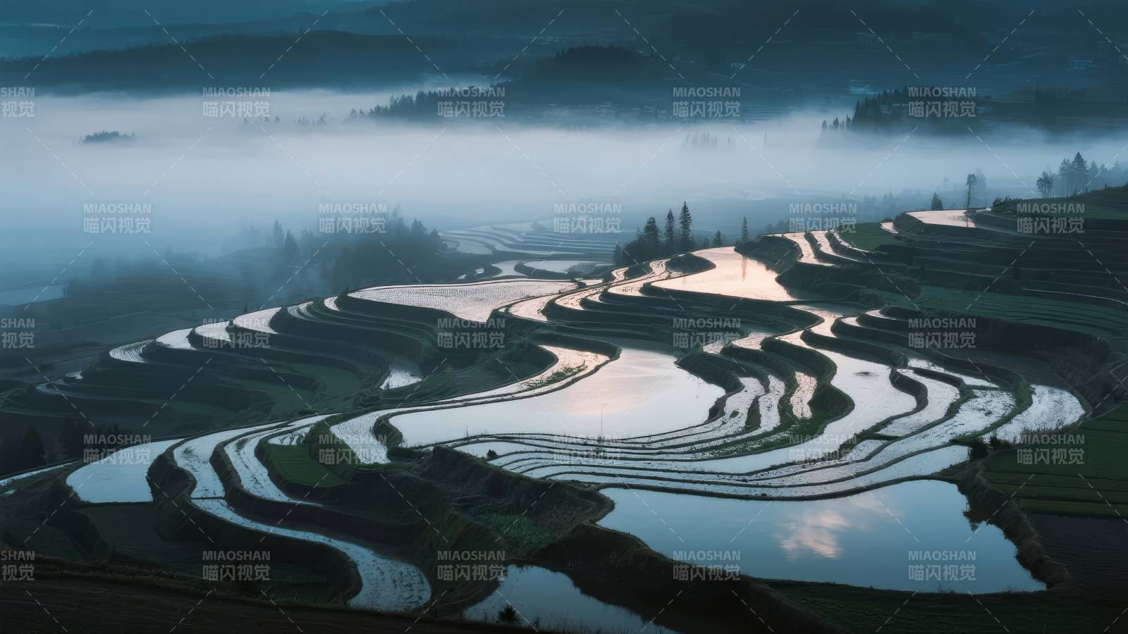 梯田晨雾如画图片