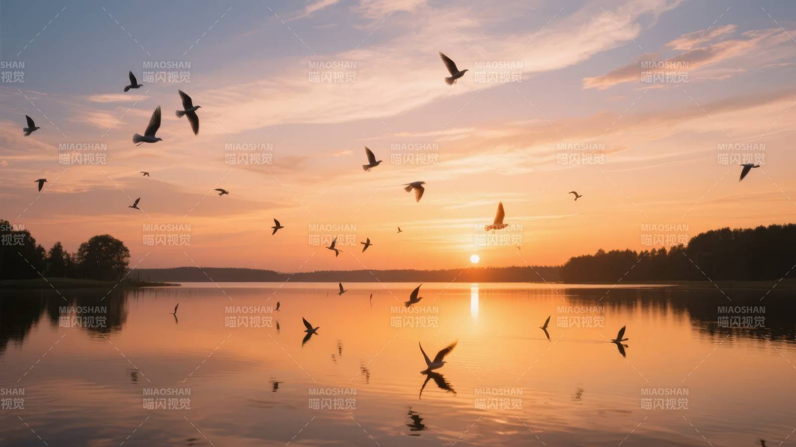湖上飞鸟迎日出图片
