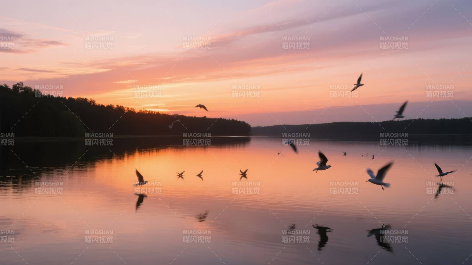 湖上飞鸟映晚霞图片