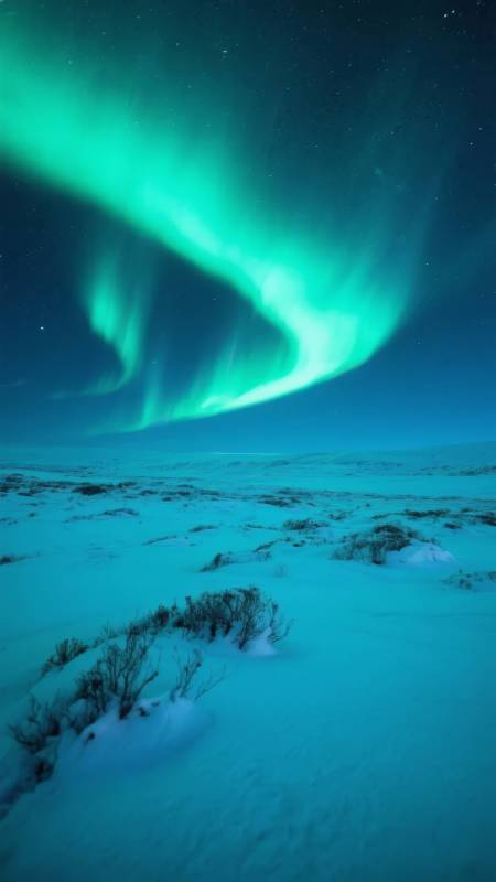 极光映雪夜图片