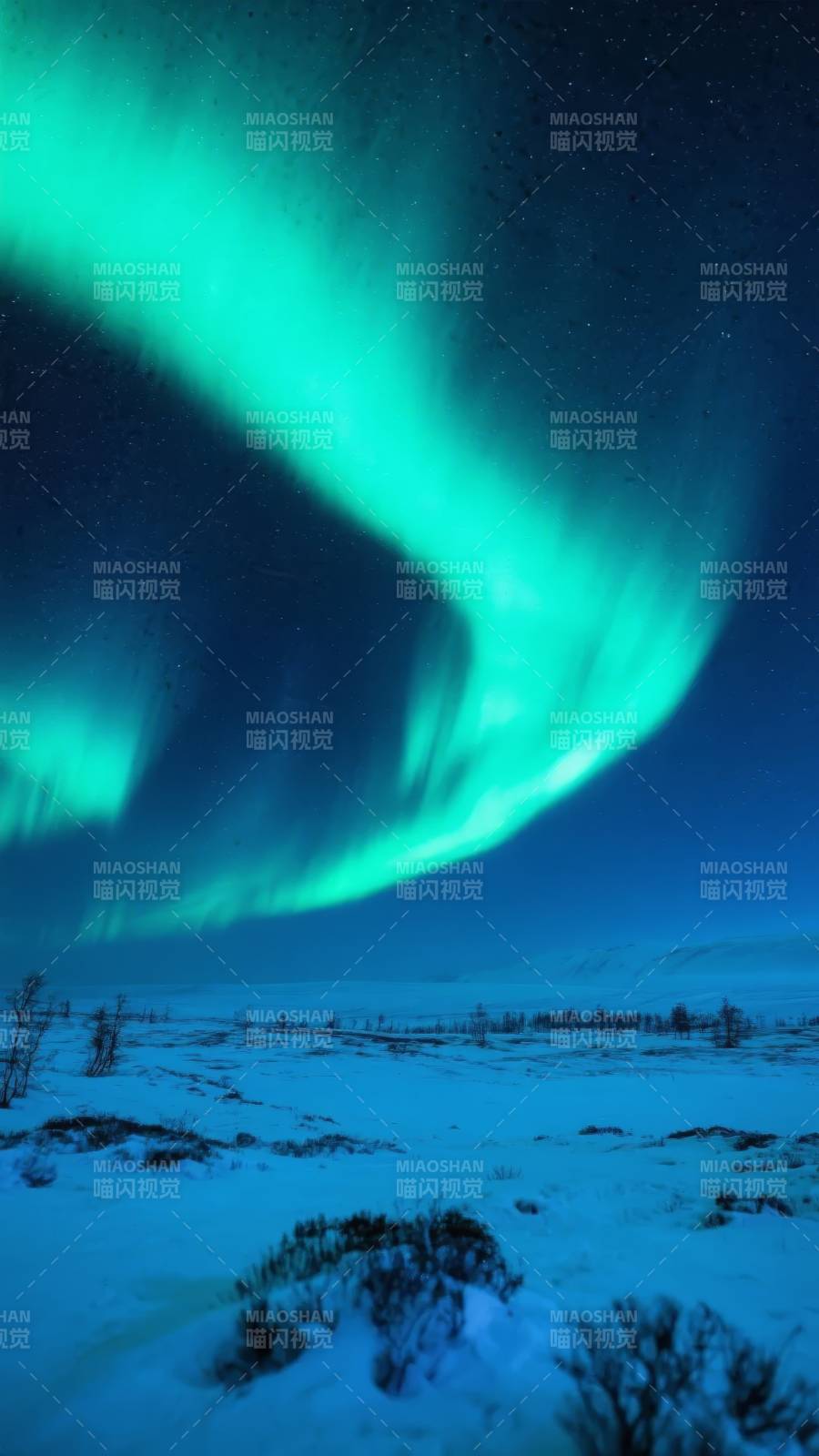 极光映雪夜图片