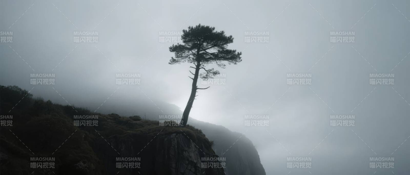 孤松立崖 云雾缭绕图片