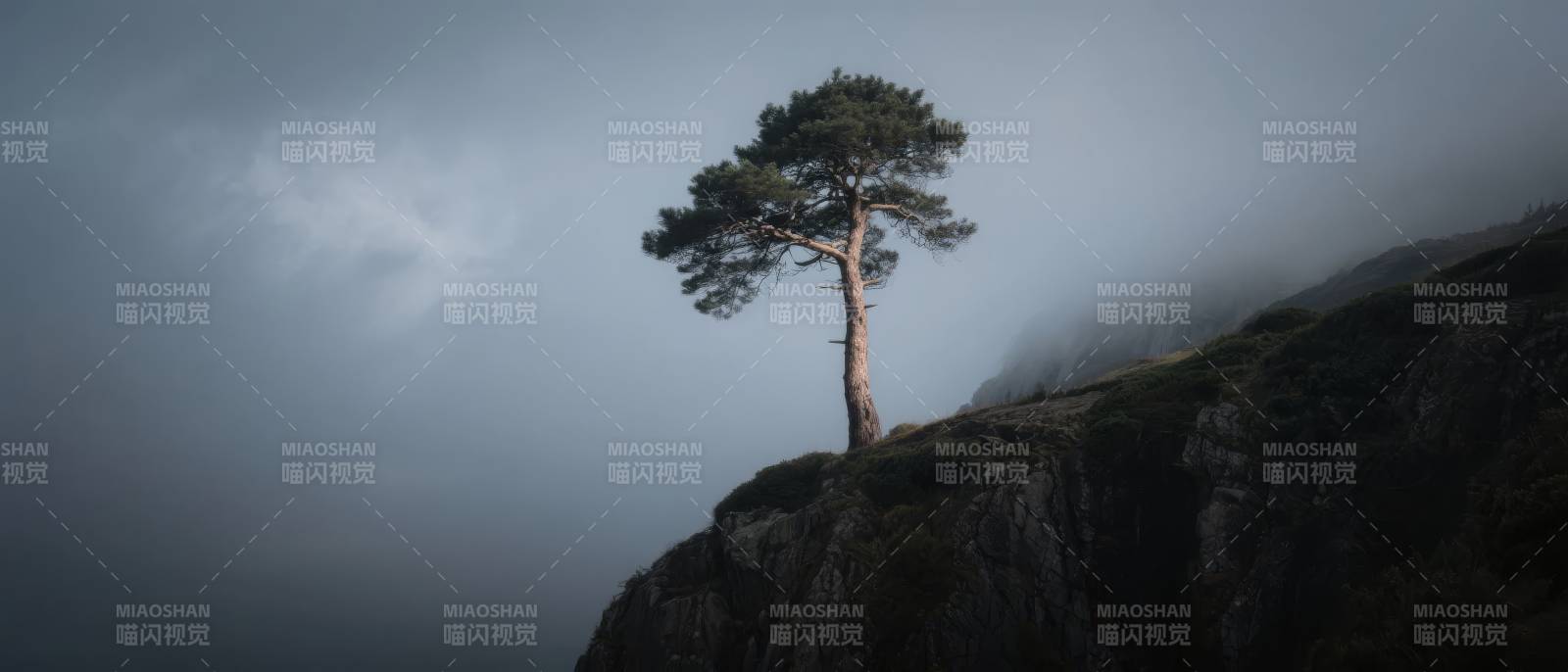 孤松立崖图片