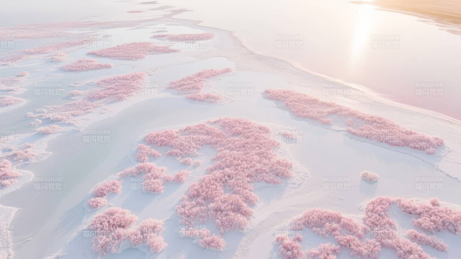 粉红盐湖奇景图片