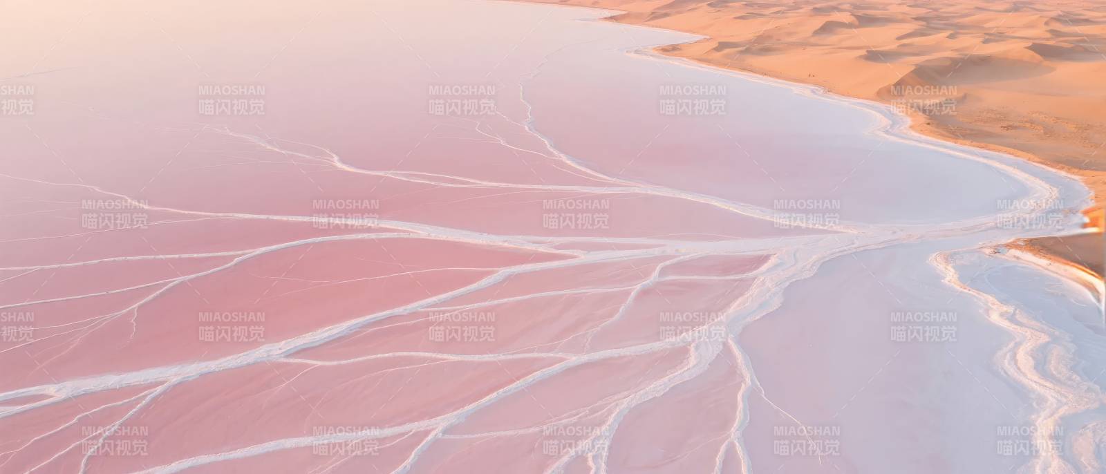 粉红盐湖奇景图片