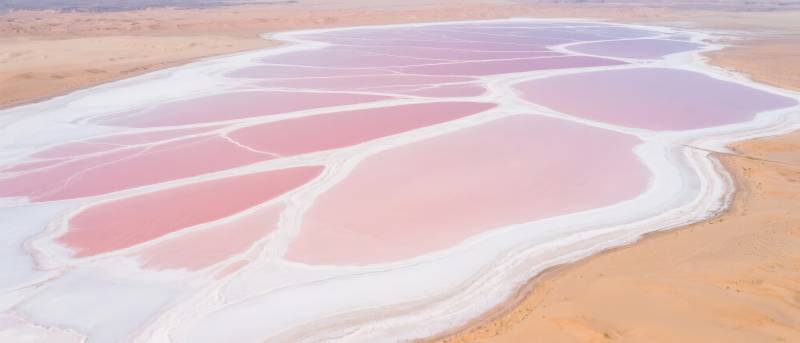 粉红盐湖奇景图片