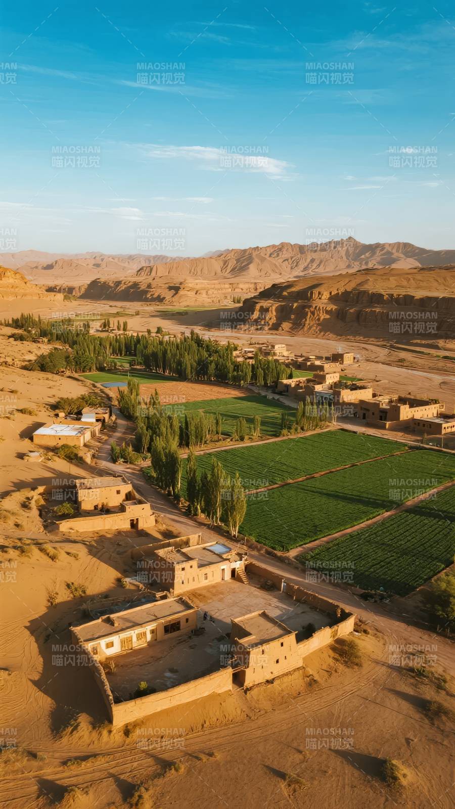 沙漠绿洲村落图片