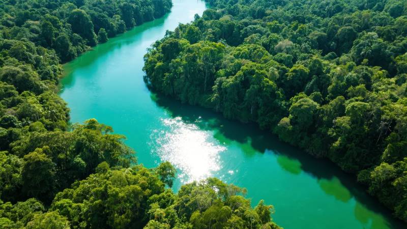 碧水穿林 绿意盎然图片