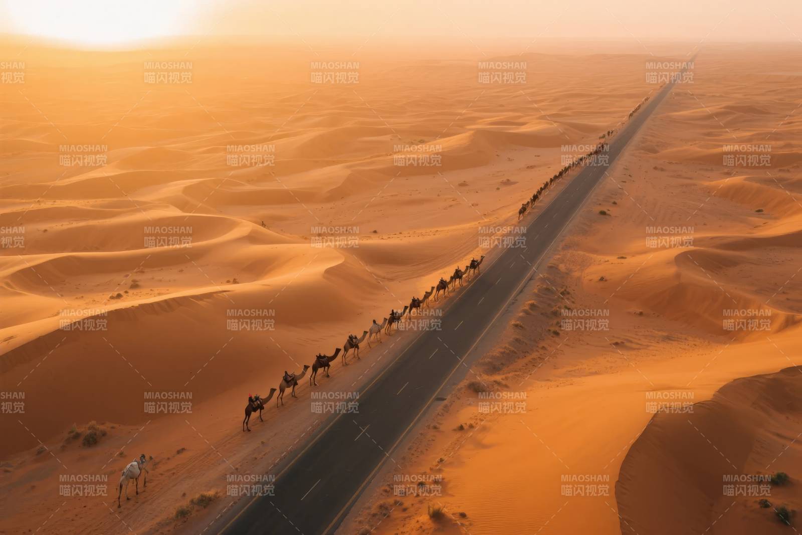 沙漠驼队行进中图片