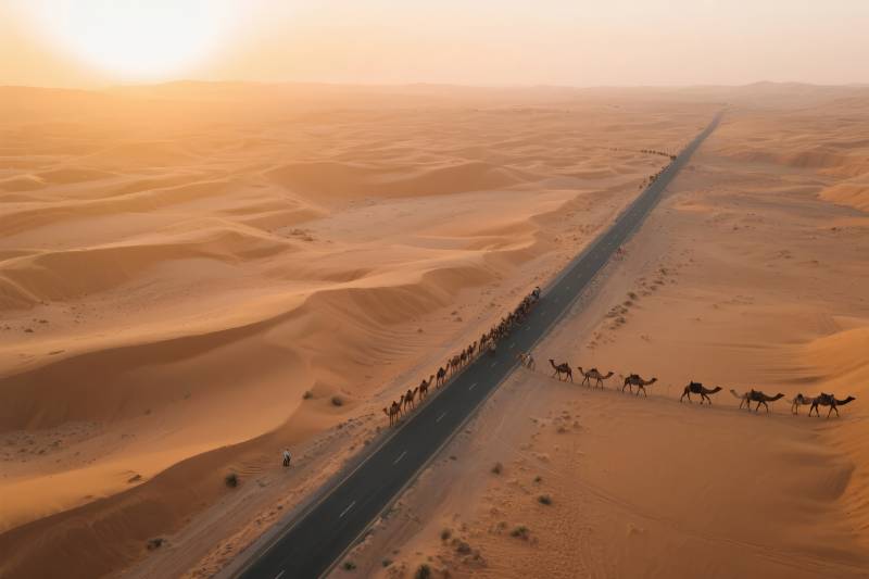 沙漠驼队行进图图片