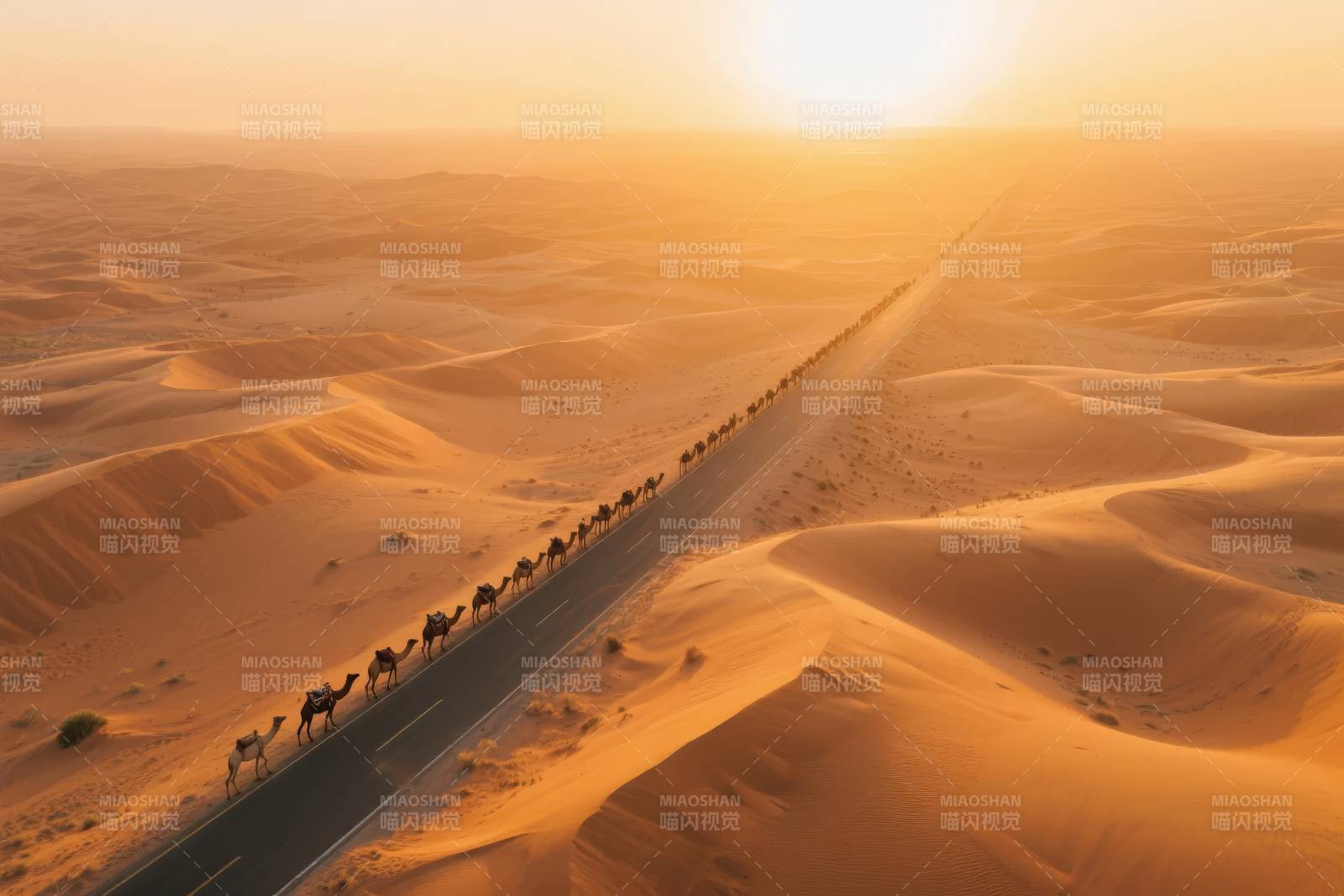 沙漠驼队夕阳行图片
