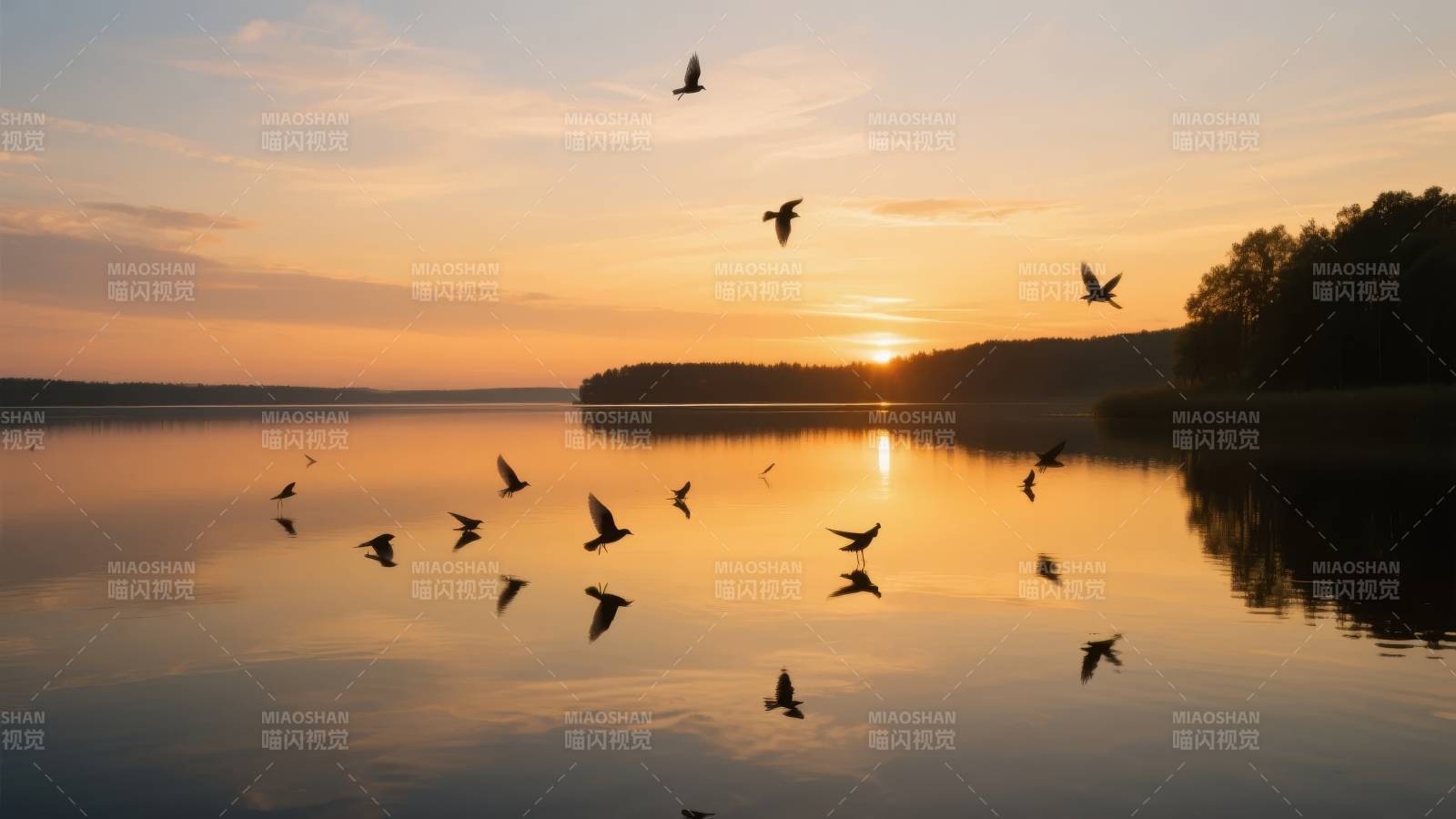湖上飞鸟夕阳美图片