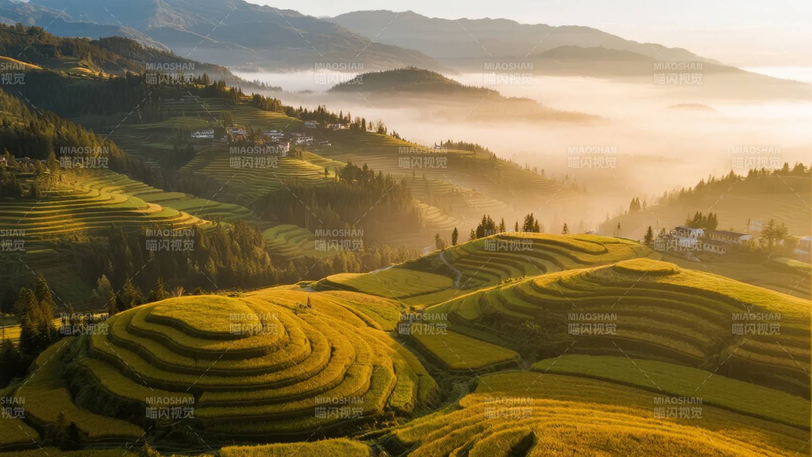 梯田晨曦图片