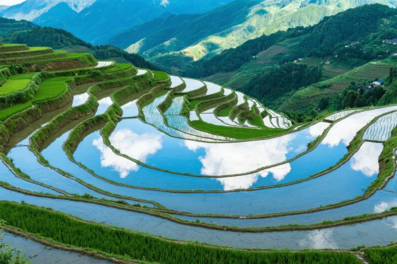 梯田映天光图片