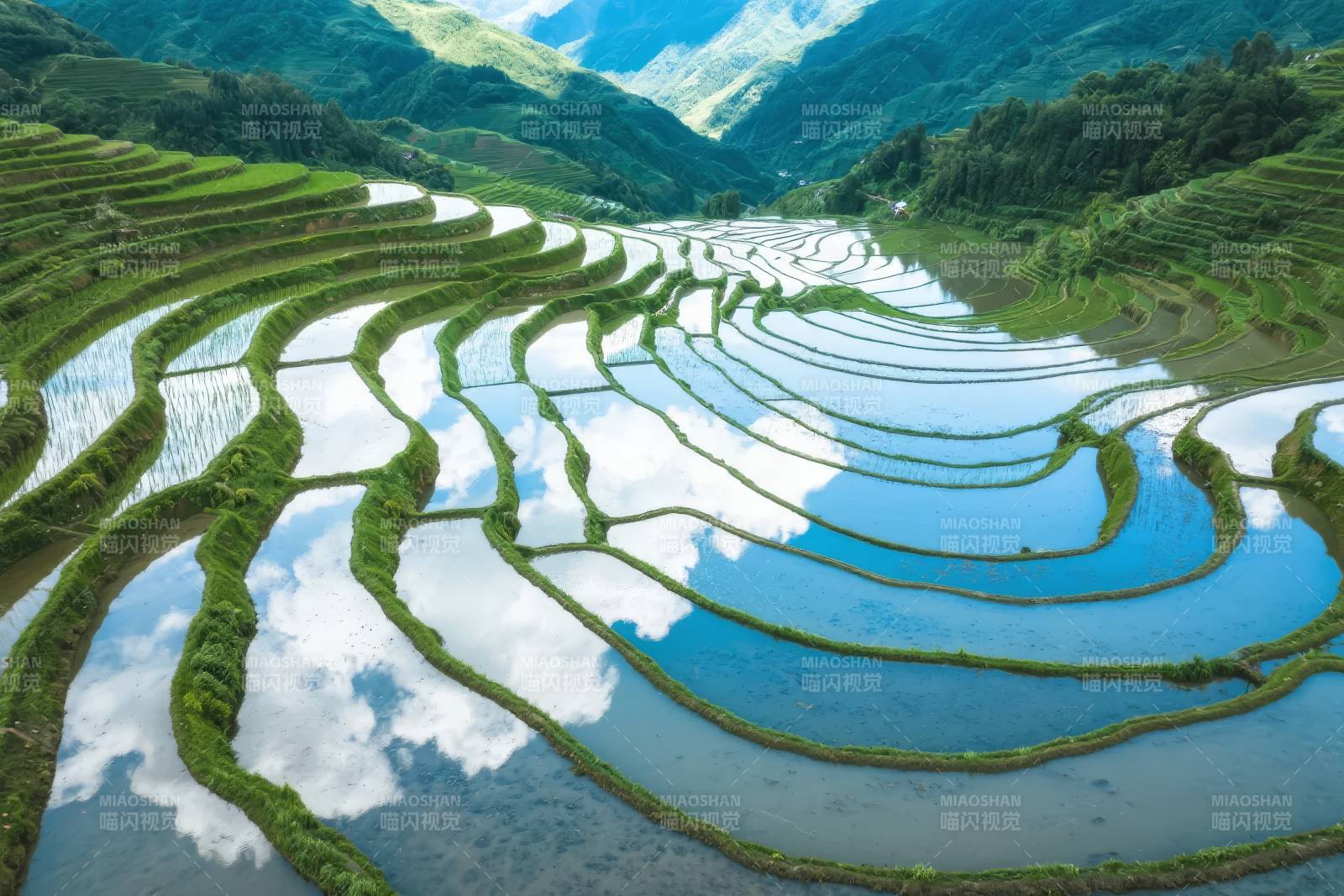 梯田映天光图片